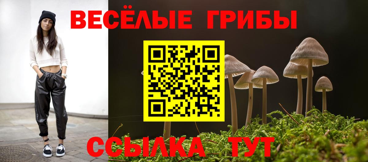 Псилоцибиновые грибы мицелий Нижнеудинск